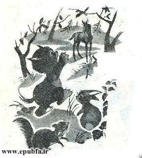 قصه کودکانه کرهاسب کوچولوی بامزه - محصول ایپابفا - ارشیو قصه و داستان کودکانه